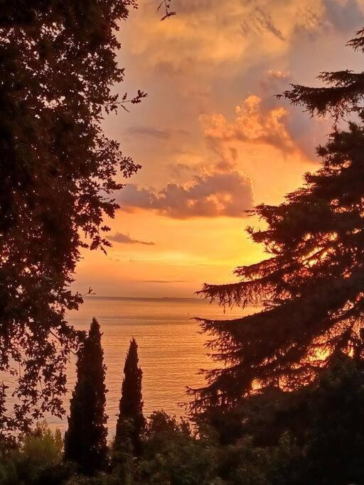 Brezza Marina - Appartamento In Villa Fronte Mare Trieste Exterior foto