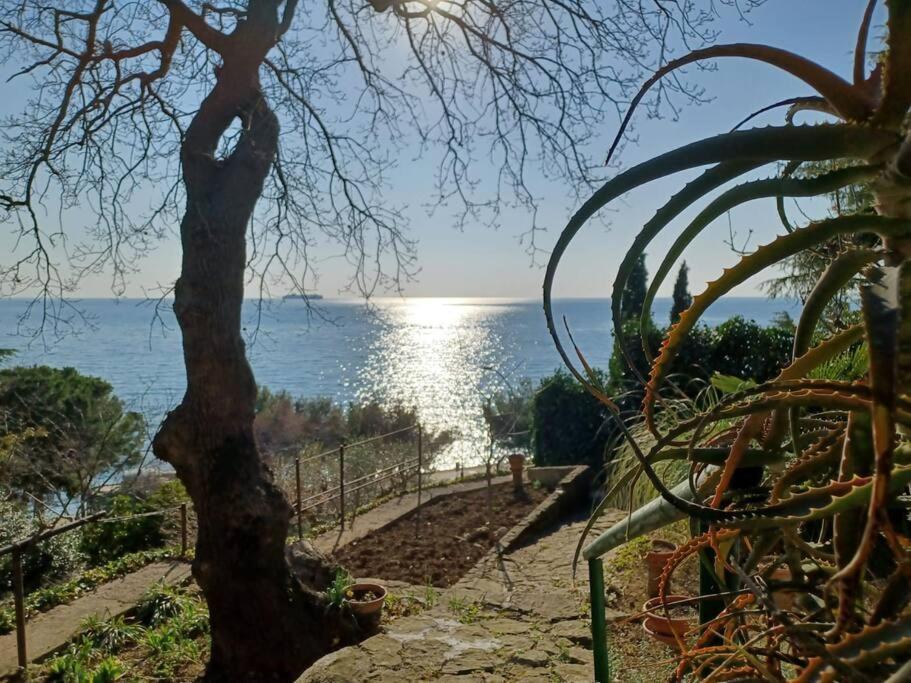 Brezza Marina - Appartamento In Villa Fronte Mare Trieste Exterior foto